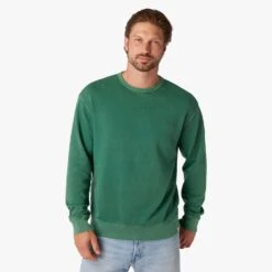 Saltaire Crewneck (2-Pack) -Fair Harbor Clothing Shop F22 SALTAIRECREWNECK COASTALGREEN ON FIG 0193 fdb84118 abe2 4c18 a528 46b6108868ad
