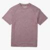 The BreezeKnit™ Tee | Beach Plum -Fair Harbor Clothing Shop SP23 BREEZEKNIT HEATHER PLUM f4224c68 d8cb 4f8e 94cc 15ceeb40e934