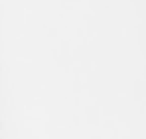 The Saltaire Tee | White 4 The Saltaire Tee | White - Image 2